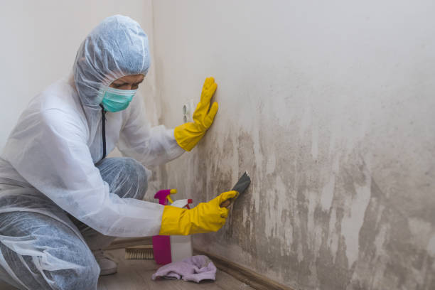Best Mold Testing  in Redland, TX