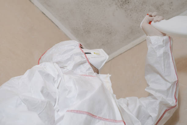 Best Certified Mold Removal  in Redland, TX
