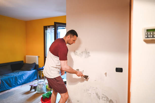Best Emergency Mold Removal  in Redland, TX